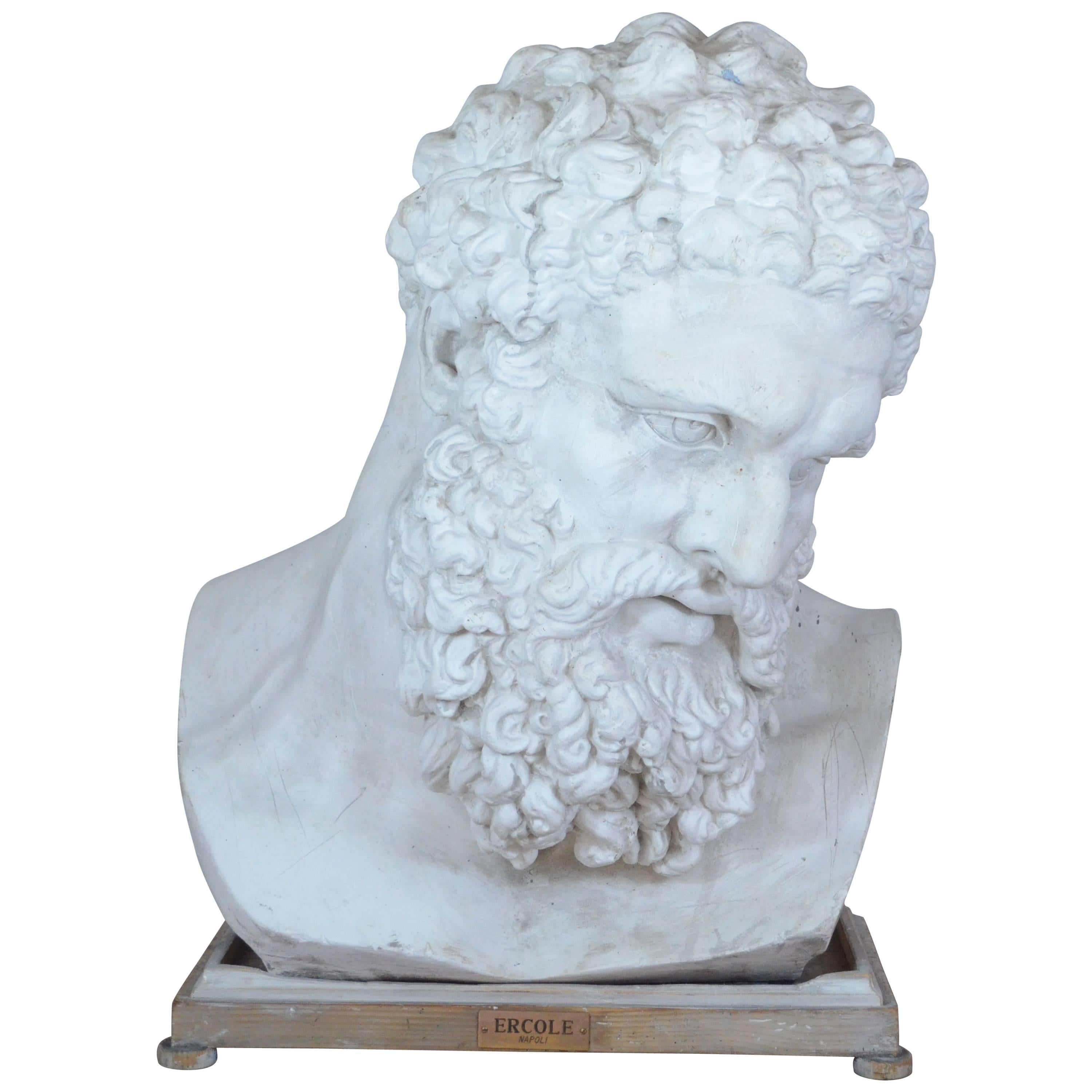 Ercole from the Farnese Collection, Plaster Bust, 20th Century