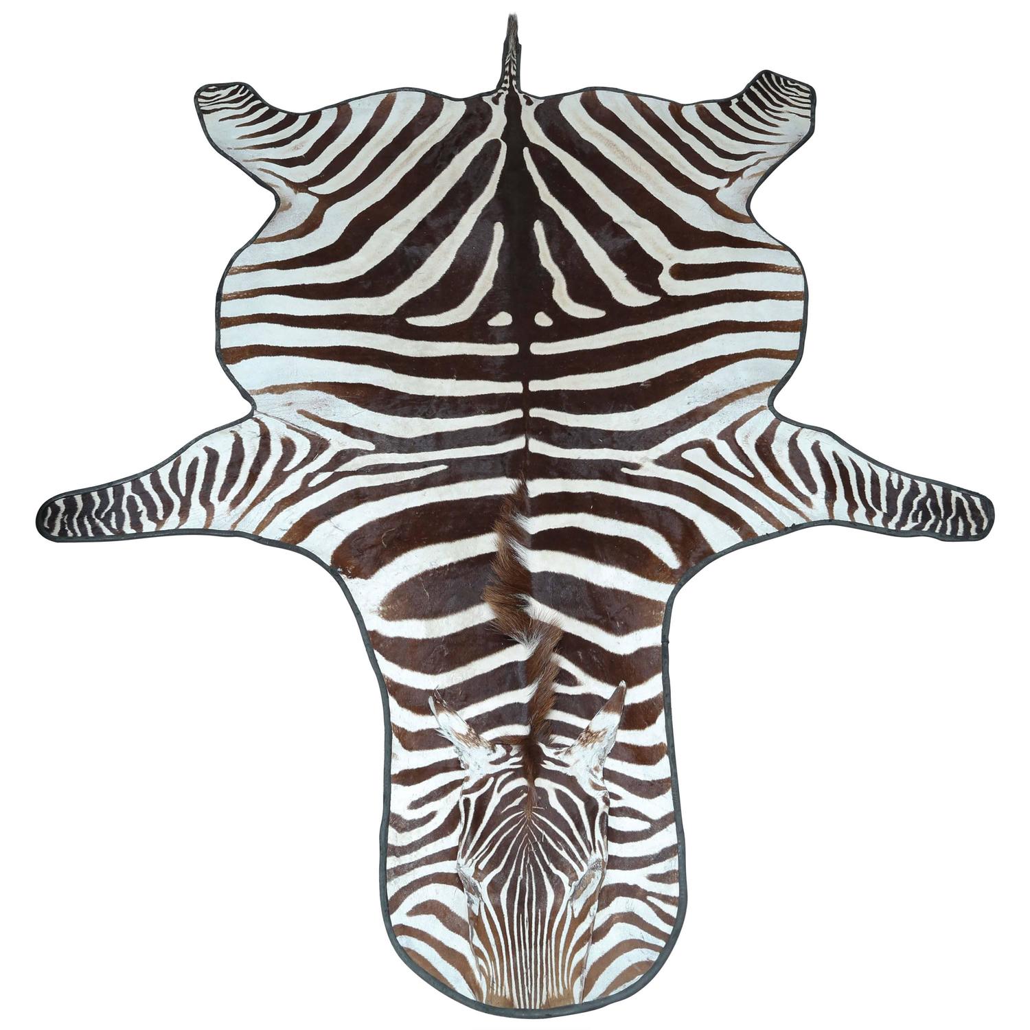 Genuine Zebra Skin Rug at 1stdibs