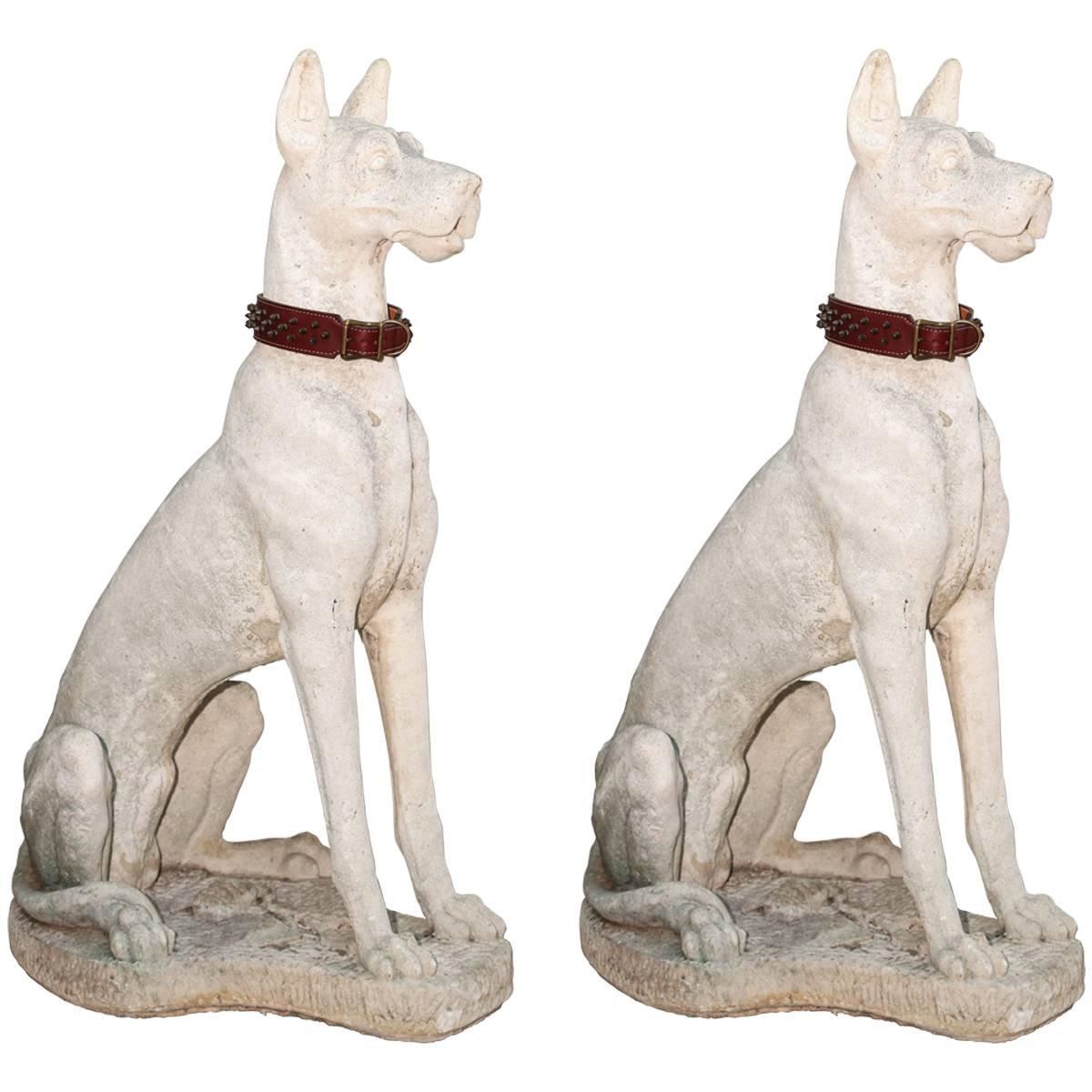 Pair of Lifesize Great Danes in Cast Stone