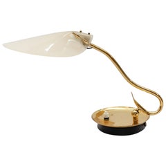 Lovely Mid-Century Modern table lamp in brass and acrylic, 1950s