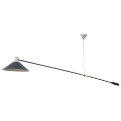 Rare Anvia Ceiling Mount Counter Balance Industrial Lamp