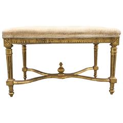 Louis XIV Style Giltwood Bench 2