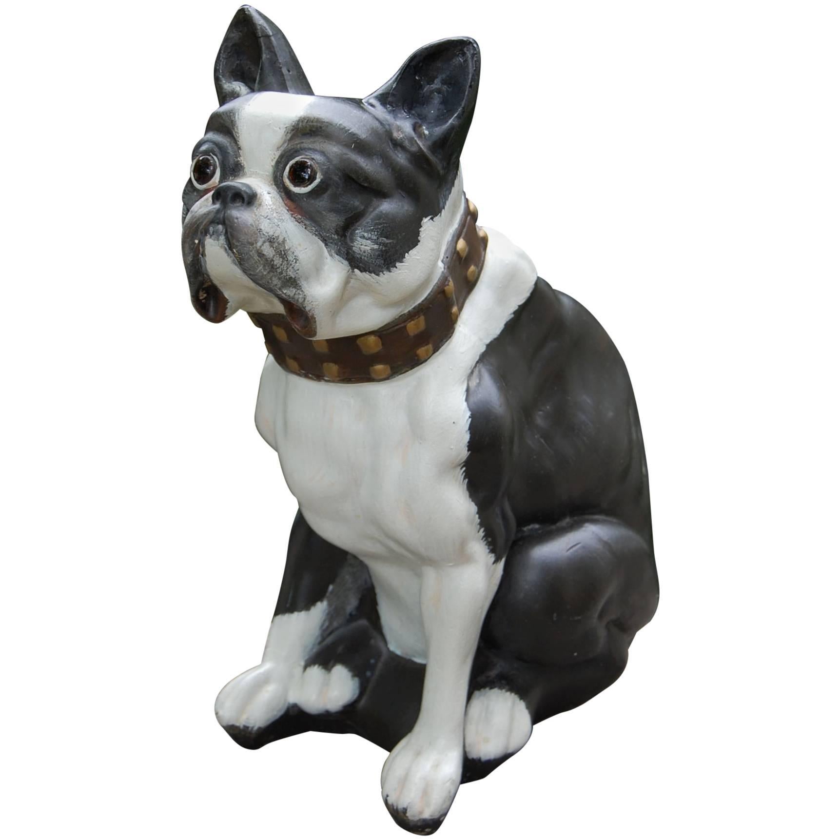 Solid Plaster Figure of a Boston Terrier Carnival Dog with Original Glass Eyes