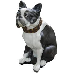 Solid Plaster Figure of a Boston Terrier Carnival Dog with Original Glass Eyes