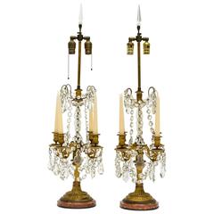 Pair of 19th Century Bronze and Crystal Candelabra Lamps