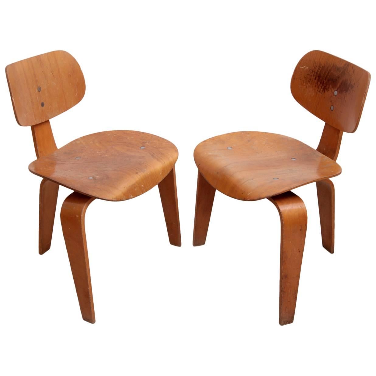 Rare Pair of Early SE42 Egon Eiermann Plywood Chairs, Germany, 1950s