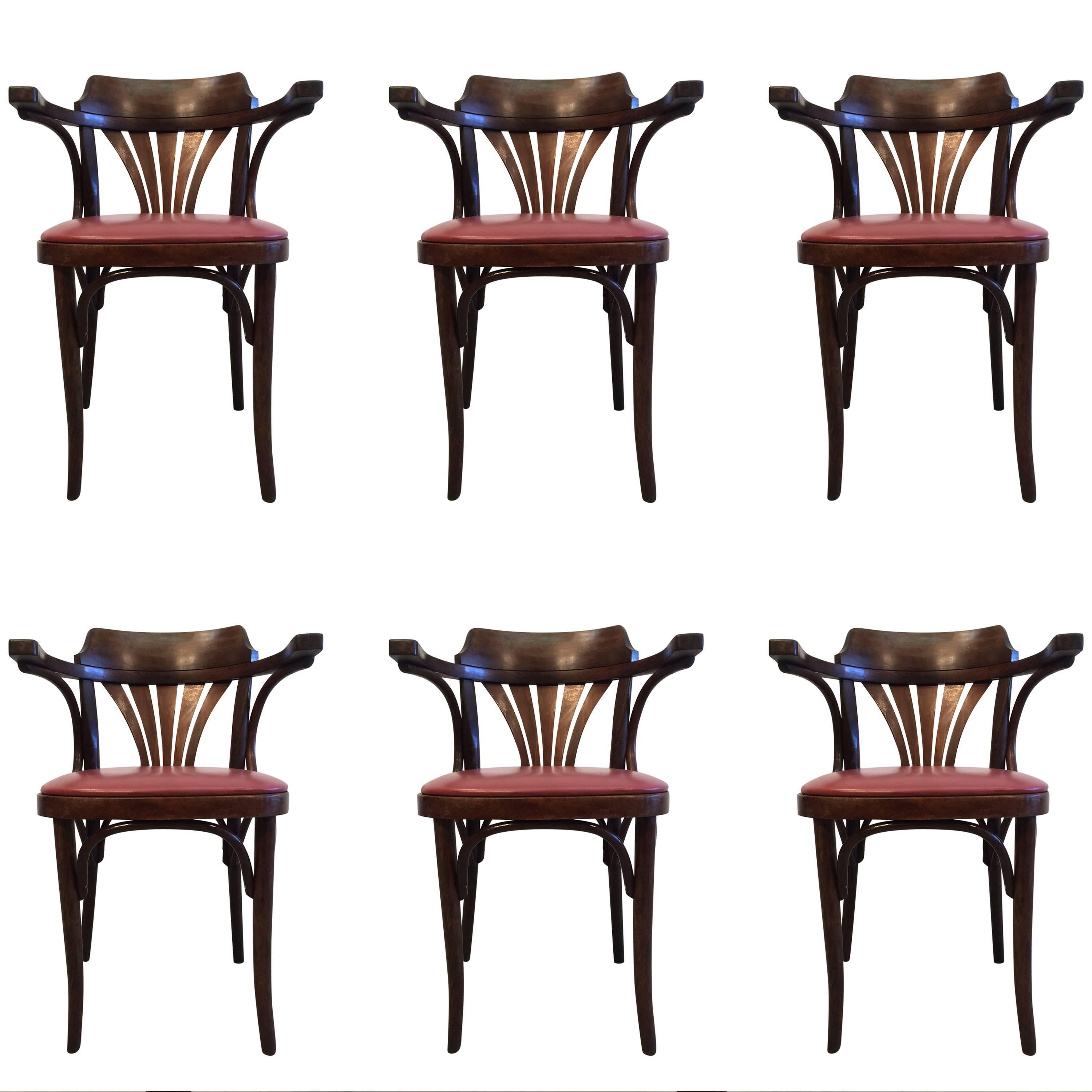Six Bentwood Chairs by Drevounia, Czech Republic, 1950s, 12 Chairs Available