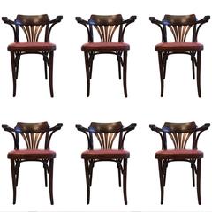 Six Bentwood Chairs by Drevounia, Czech Republic, 1950s, 12 Chairs Available