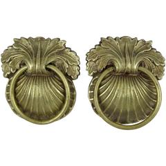19th Century French Ormolu Shell Hardware Brass Pulls, Set of Two