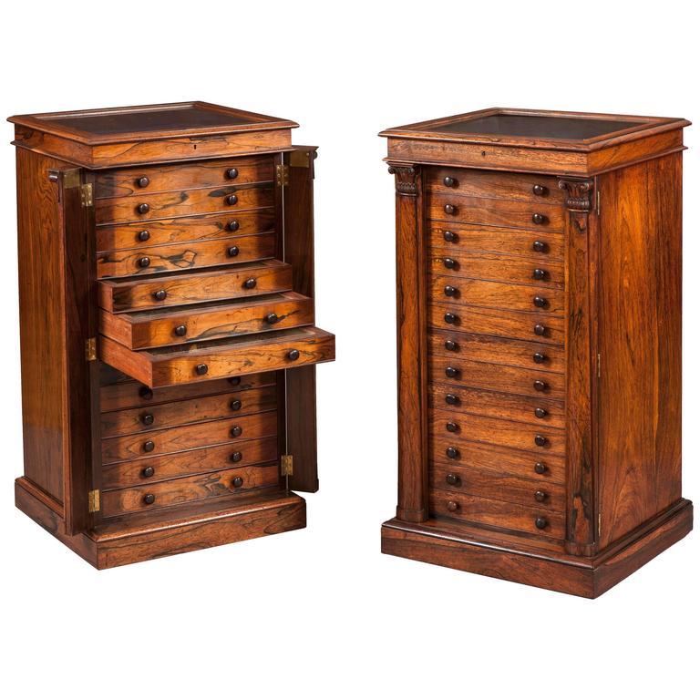 pair of english collectors specimen cabinets with butterflies and