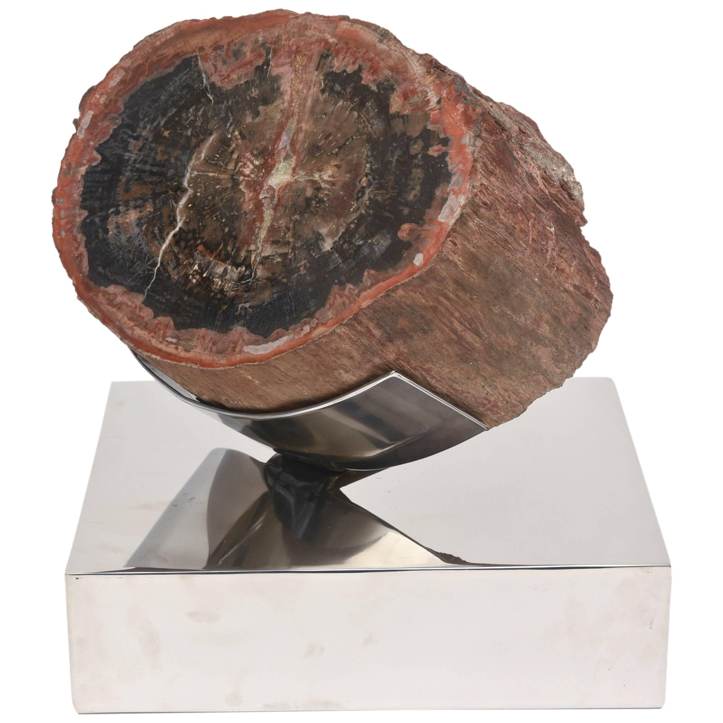 Petrified Wood on Custom Stainless Steel Swivel and Pivot Base 