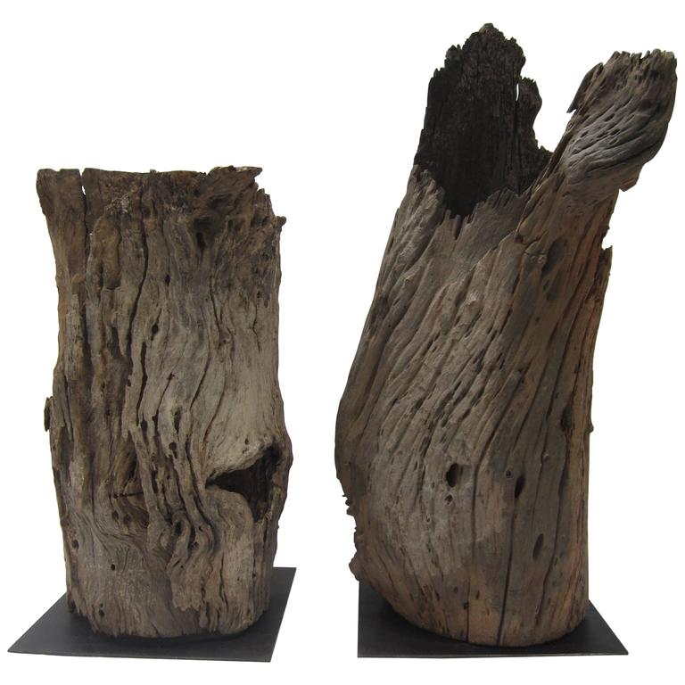 Pair Of Tree Trunk Floor Lamps For At 1stdibs Pair Of Tree Trunk Floor Lamps For