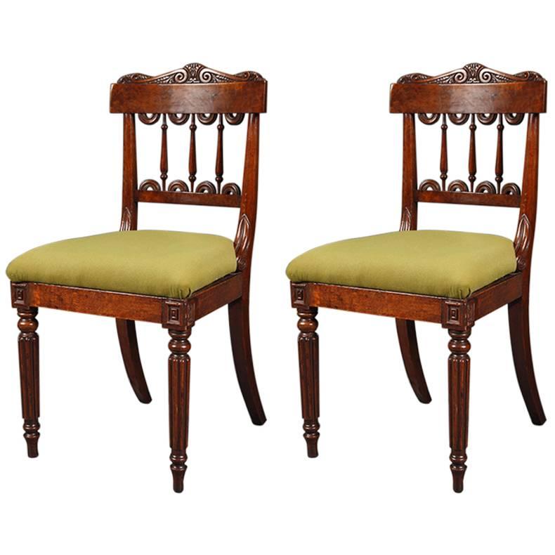Pair of William IV Burr Oak Side Chairs For Sale