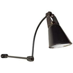 Black Swan-Neck Walligraph Localite Anglepoise