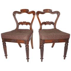 Antique Pair of Rosewood and Caned Dining Chairs