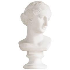 19th Century Marble Bust of Venus