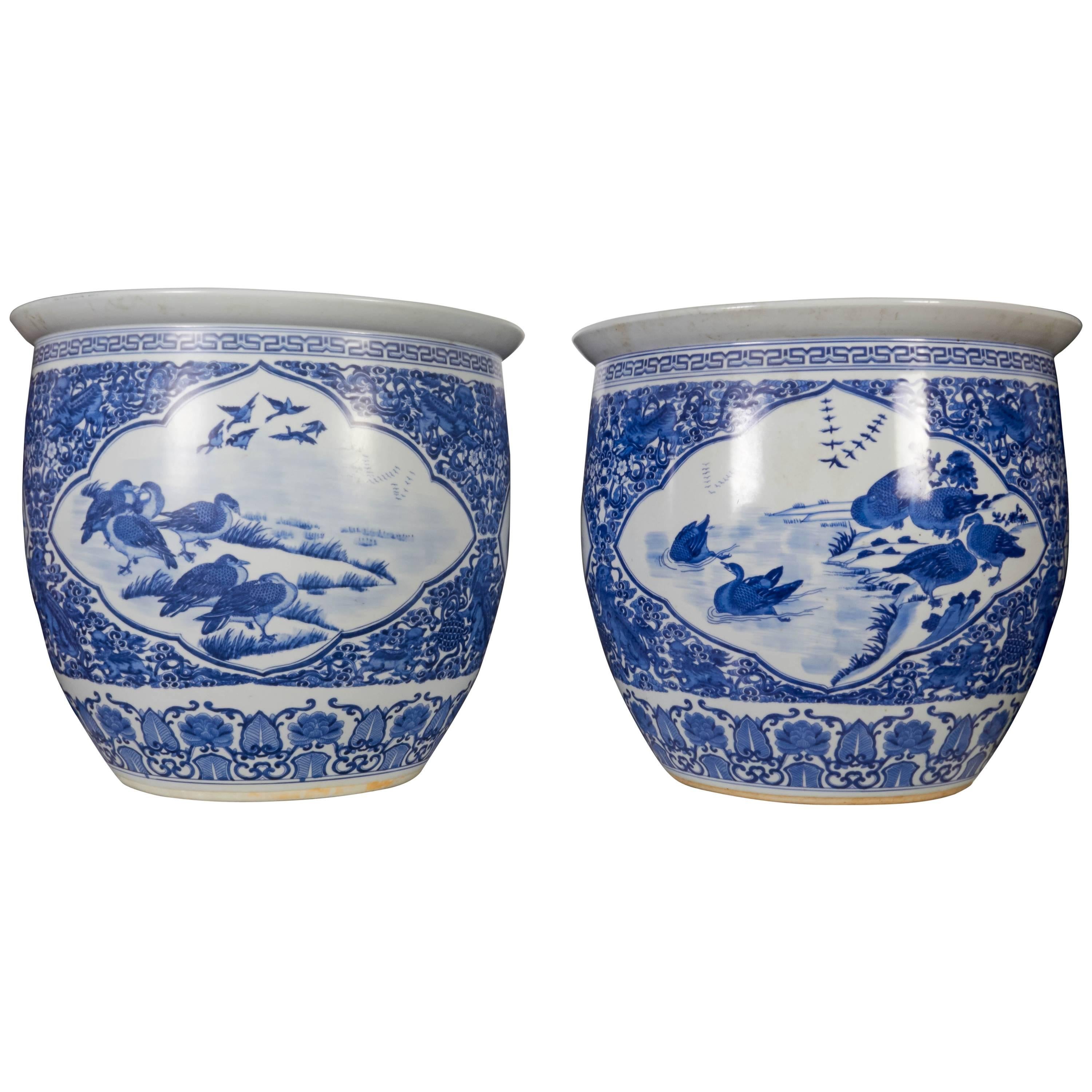 Großes Paar chinesischer blau-weißer Porzellan-Pflanzgefäße/Fischschalen/Jardinière