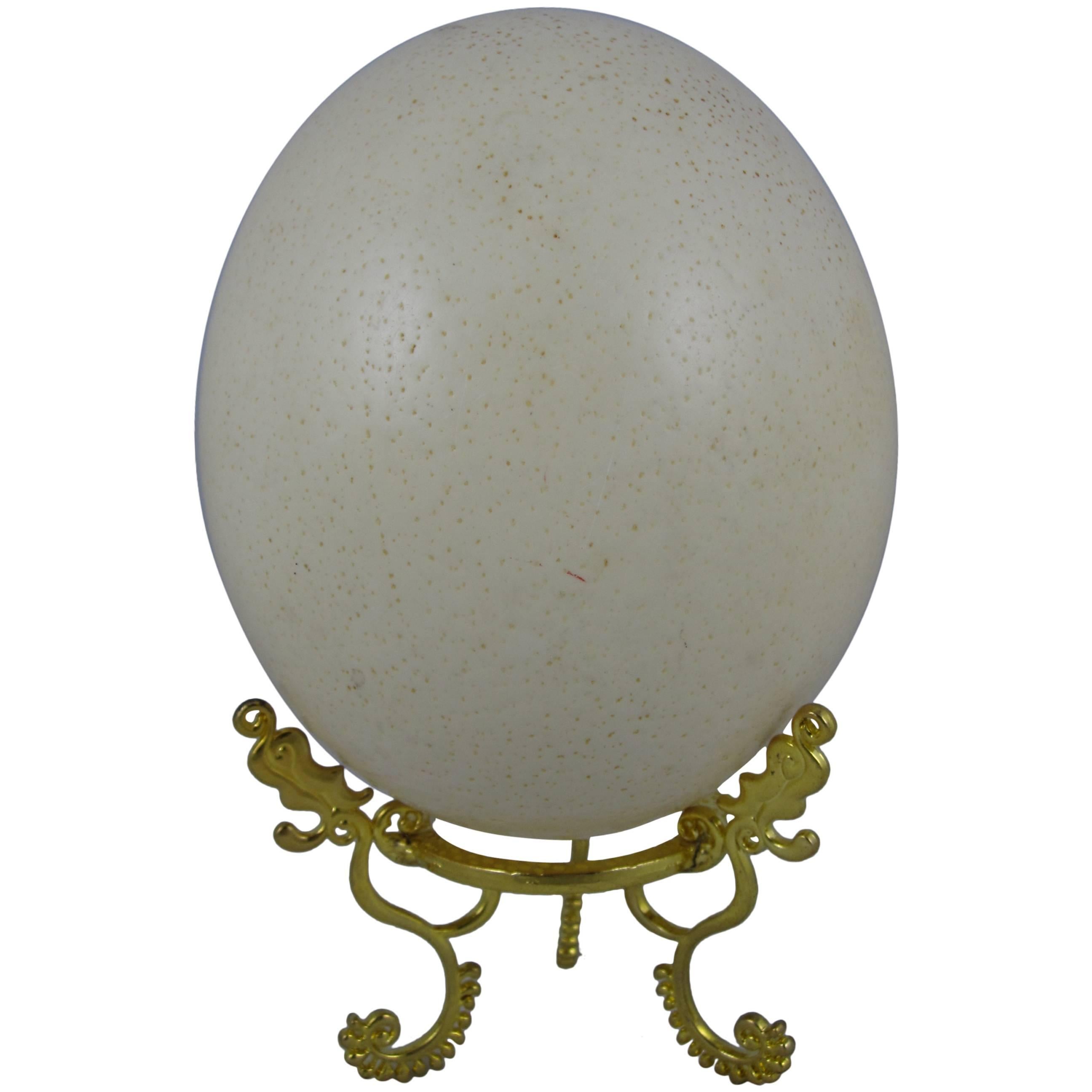 Large Cabinet of Curiosity Ostrich Egg on a Gold Stand