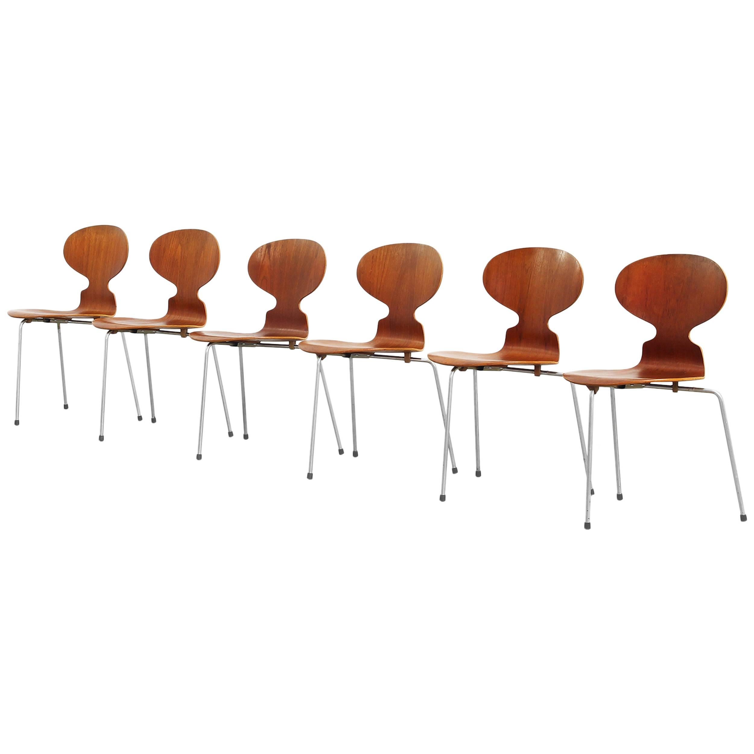 Set of Six Teak Ant Dining Chairs 3100 by Arne Jacobsen for Fritz Hansen