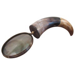 Antique Oversized Polished Steer Horn Magnifying Glass