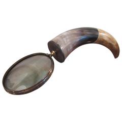 Oversized Polished Steer Horn Magnifying Glass 7