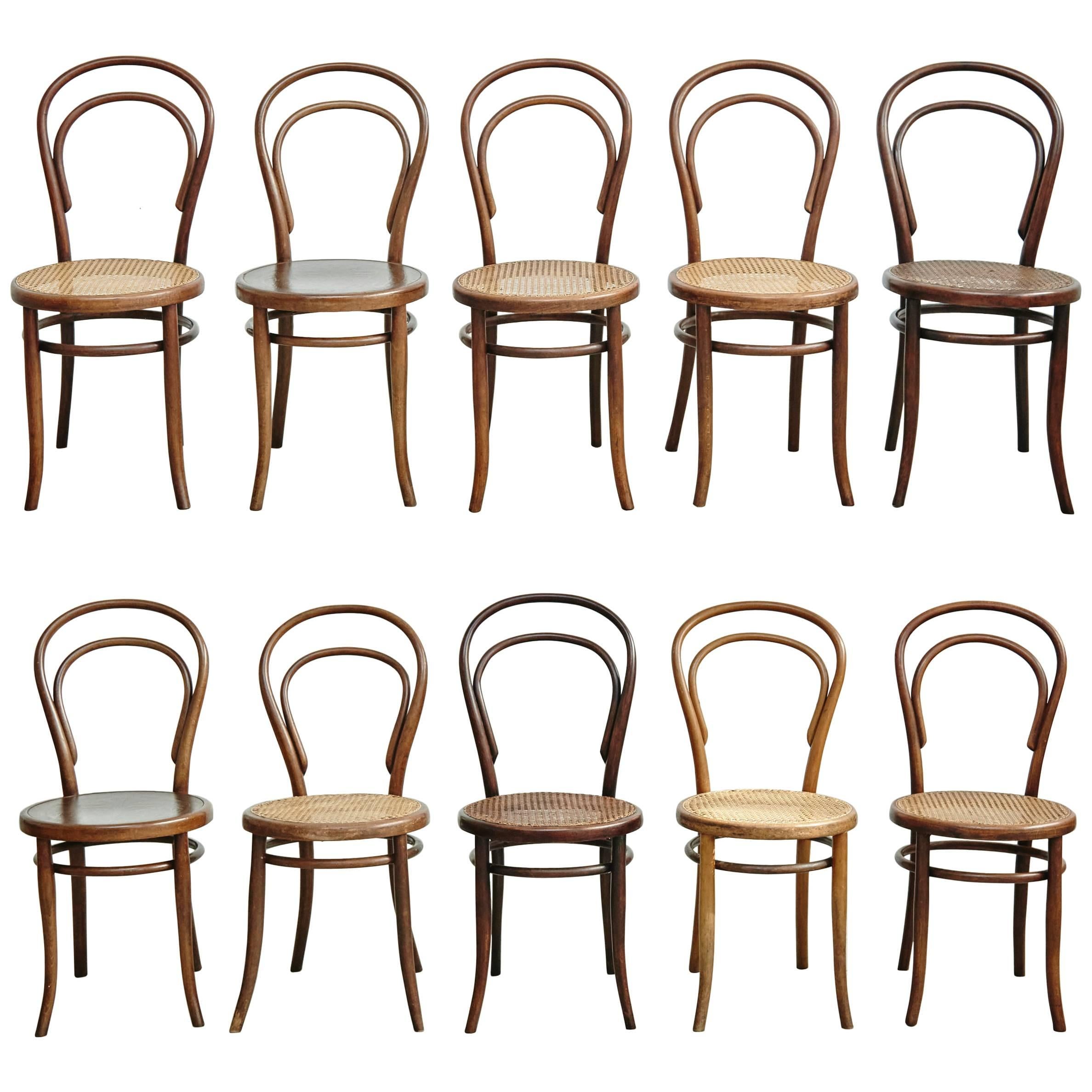 Set of Ten Chairs by Thonet, Fischel, Kohn and Unknown, circa 1900