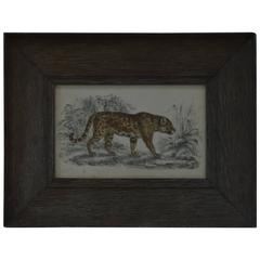 Original Antique Print of a Jaguar, circa 1850