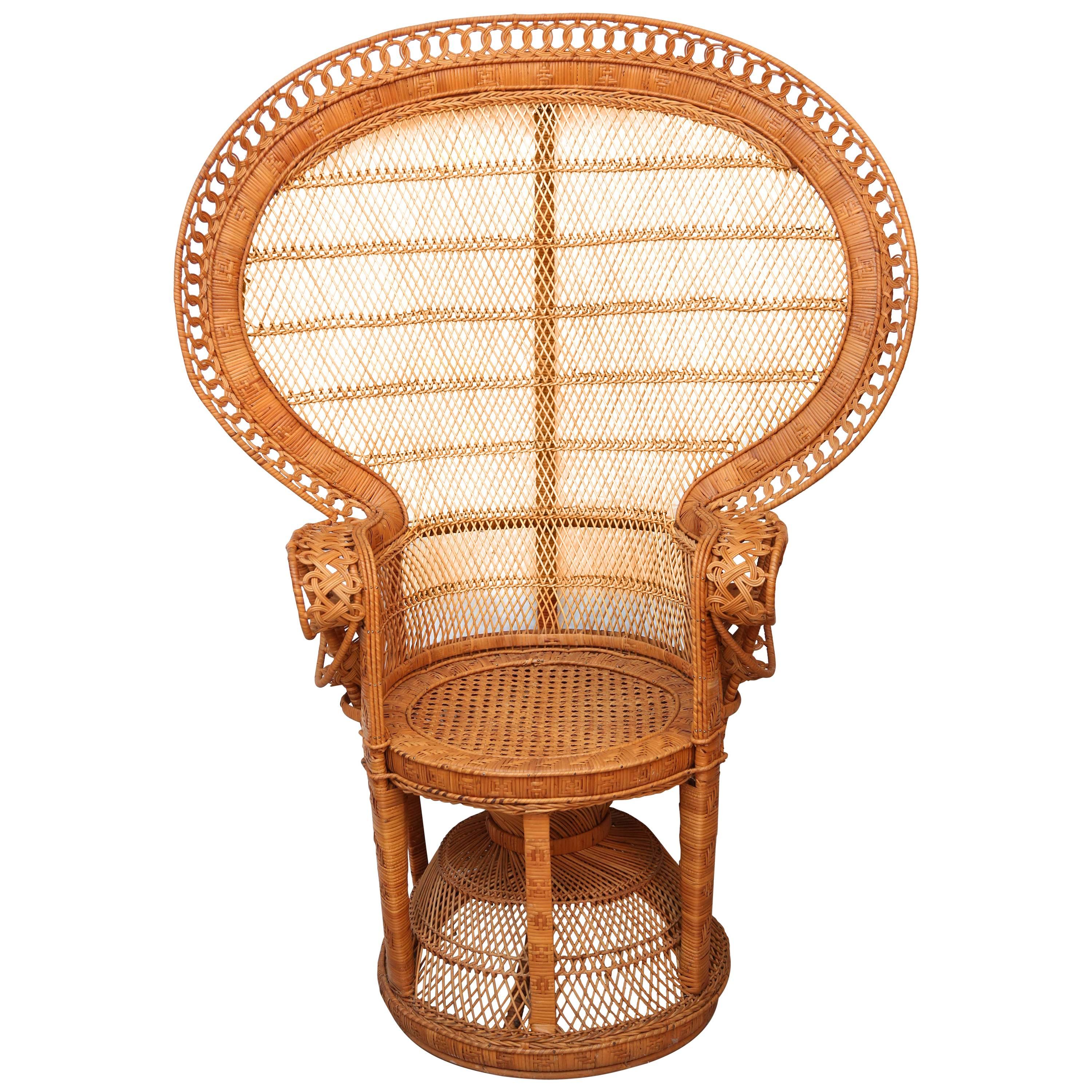 Rattan and Willow "Peacock" Chair