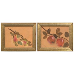 Pair of Framed Fruit Paintings, circa 1930s