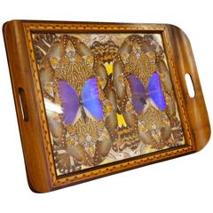 Brazilian Butterfly Tray