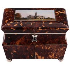 Antique Tortoiseshell Tea Caddy