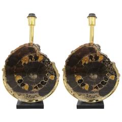 Pair of Large Polished Ammonite Table Lamps with Pyrite