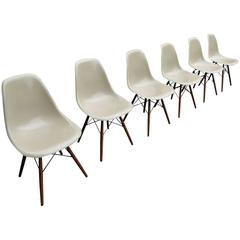 Lot of Six Herman Miller Eames Greige Dining Chairs