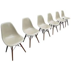Lot of Six Herman Miller Eames Greige Dining Chairs