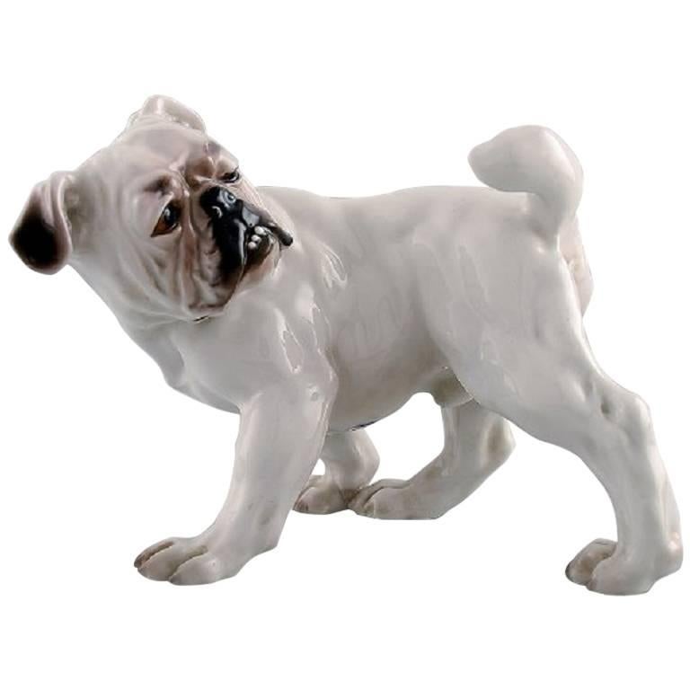 Bing & Grondahl Dog B&G, Number 1992, English Bulldog For Sale