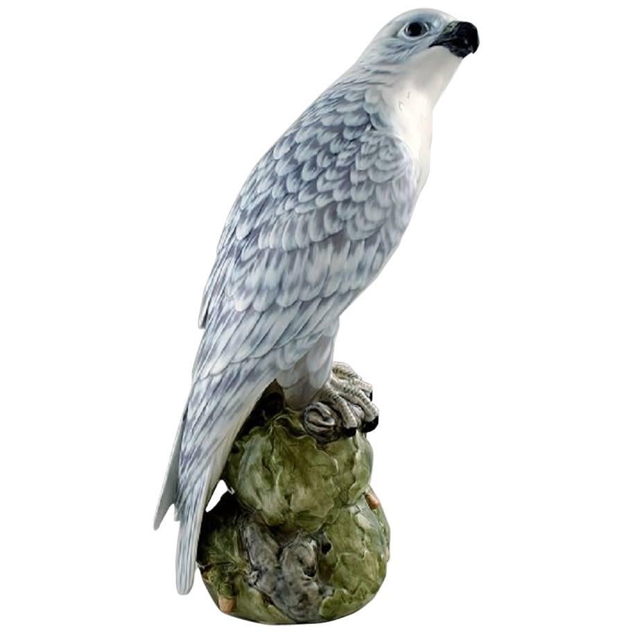 Peter Herold for Royal Copenhagen 'Icelandic Falcon', Porcelain Figurine
