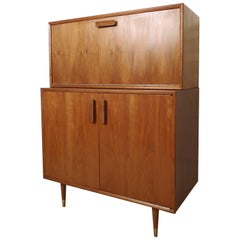 Rare Mid-Century Bar and Cabinet
