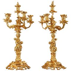 Pair of Gilt Bronze, Louis XV-Style Candelabras, Each with Six Arms