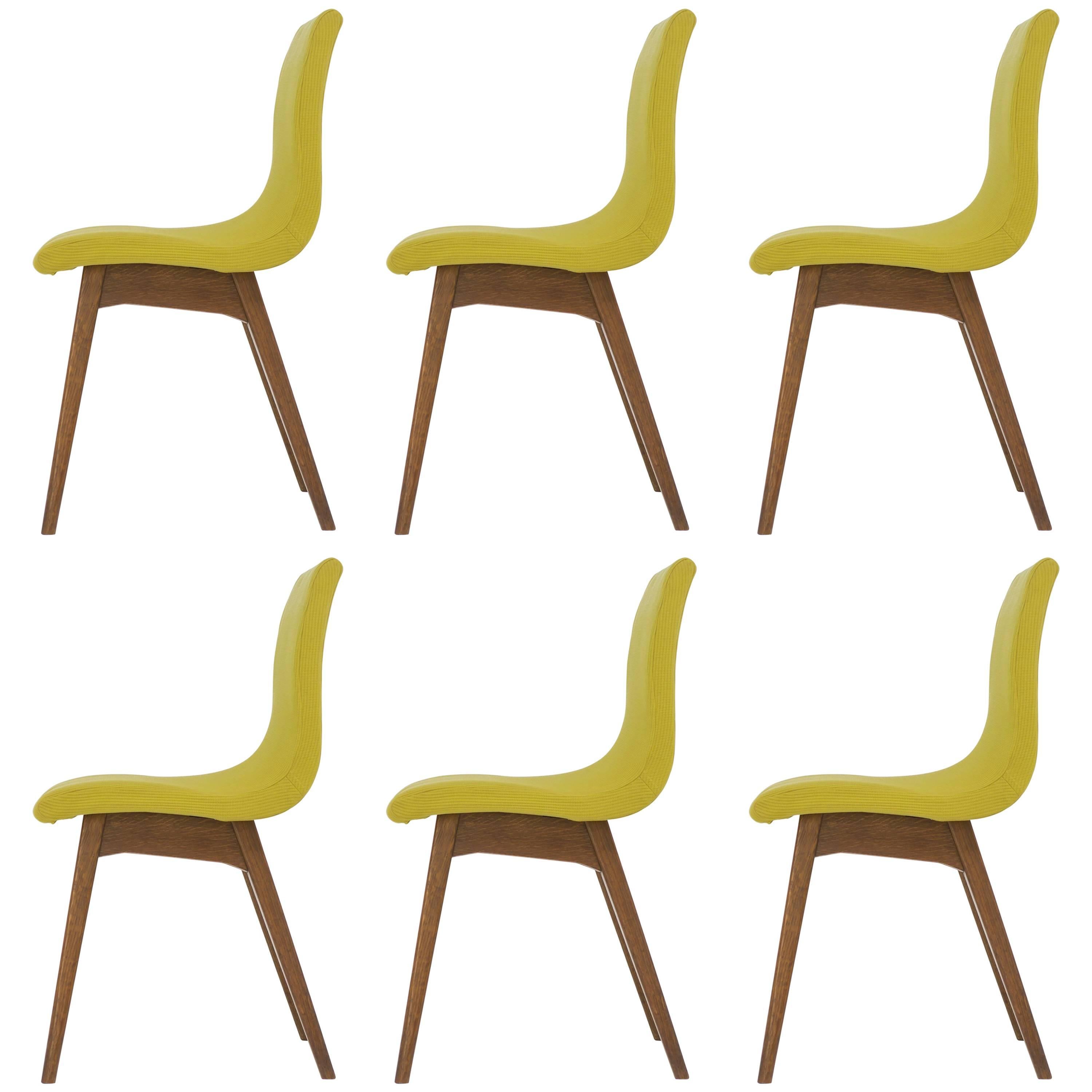 Set of Six Chairs C59 by René Jean Caillette, Charron Edition, 1960 For Sale