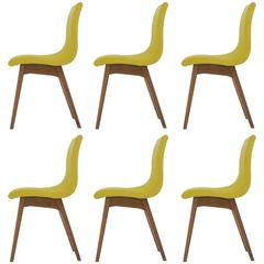 Set of Six Chairs C59 by René Jean Caillette, Charron Edition, 1960