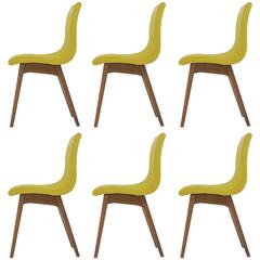 Set of Six Chairs C59 by René Jean Caillette, Charron Edition, 1960