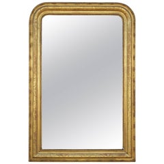 19th Century French Gold Leafed Louis Philippe Mirror