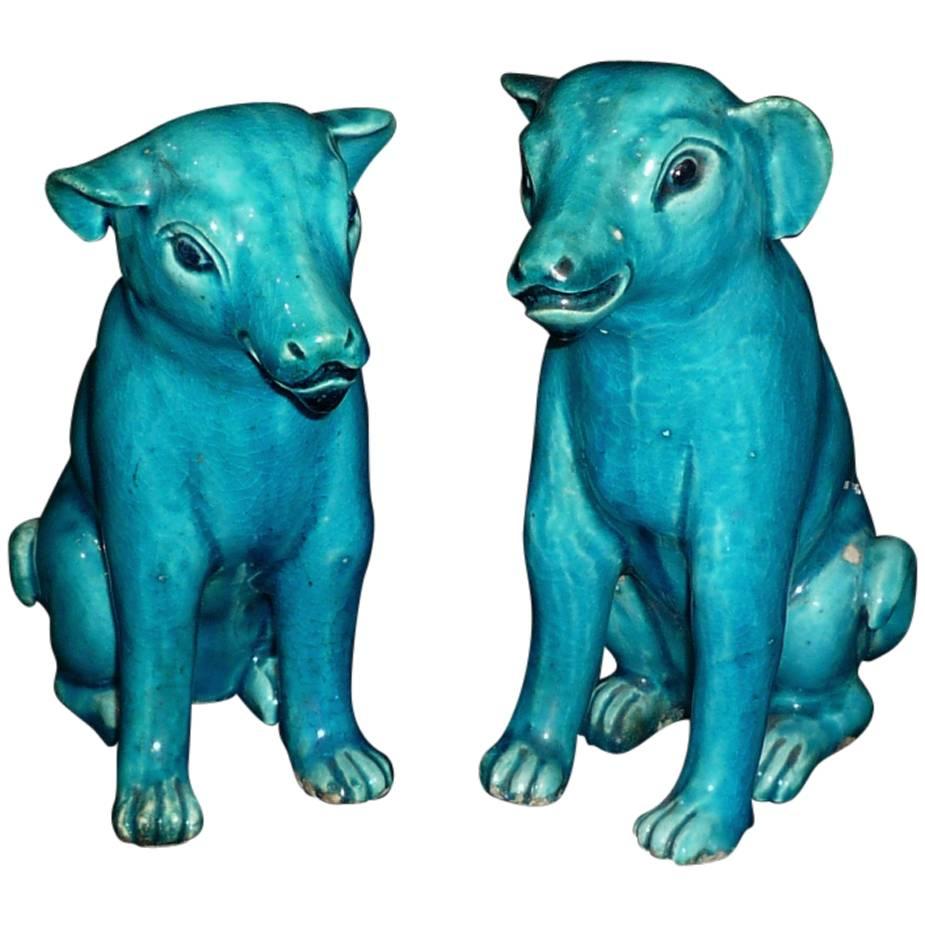 Pair of Chinese Export 'Compagnie des Indes' Turquoise Porcelain Dogs
