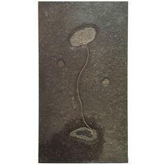 Very Large Fossil Sea Lily with Ammonite Inclusions, Seirocrinus Subangularis 7