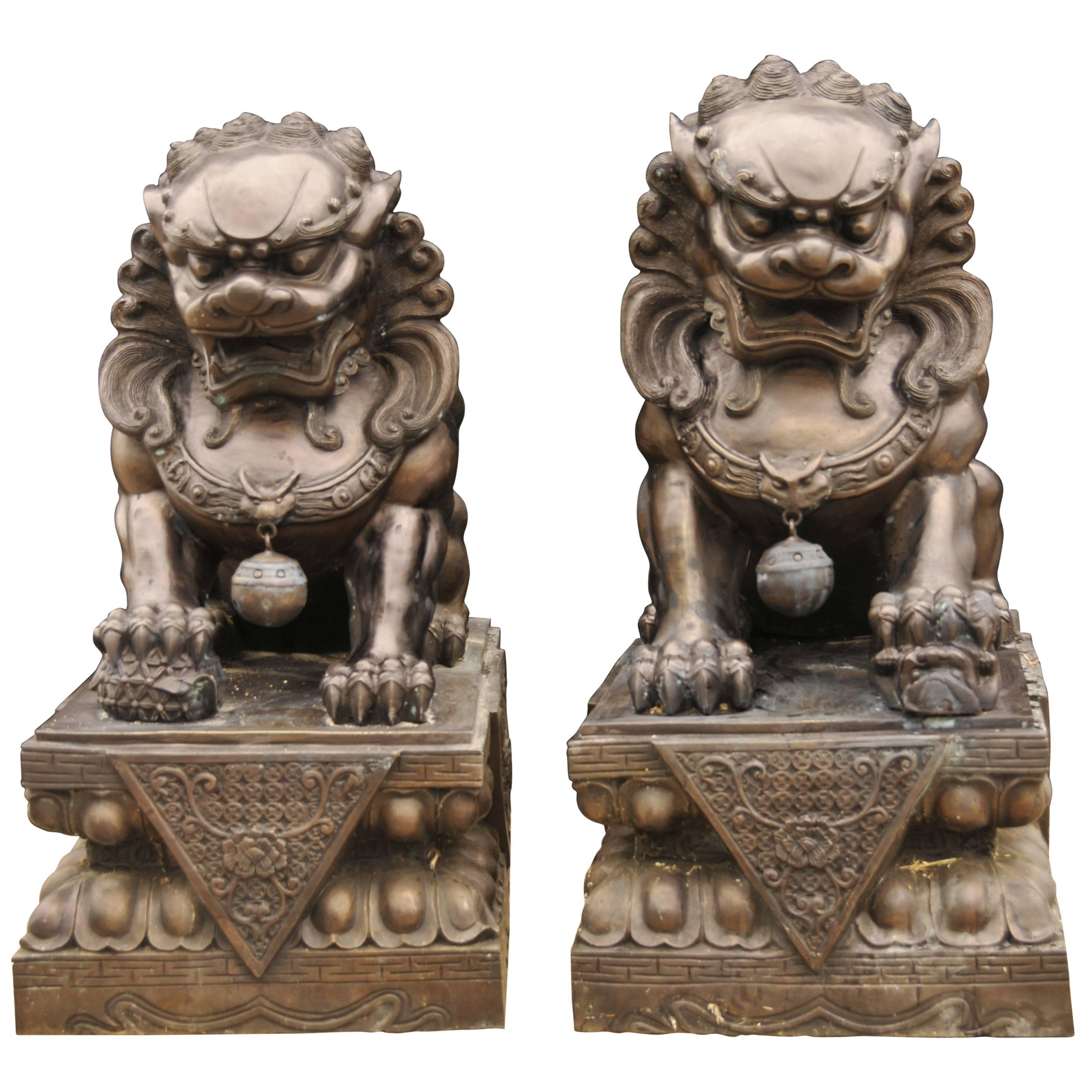 Pair of Extra Large Bronze Chinese Foo Dogs Keiloon Fu Temple Statue For Sale