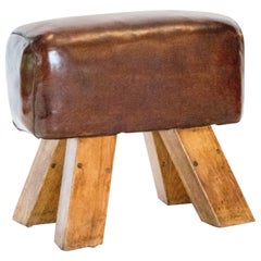 Small Retro Pommel Horse