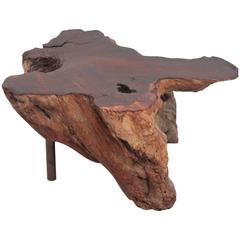 Burl Wood and Copper Stump Table