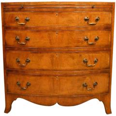 Beautiful Edwardian Period Mahogany Bow Front Chest of Drawers