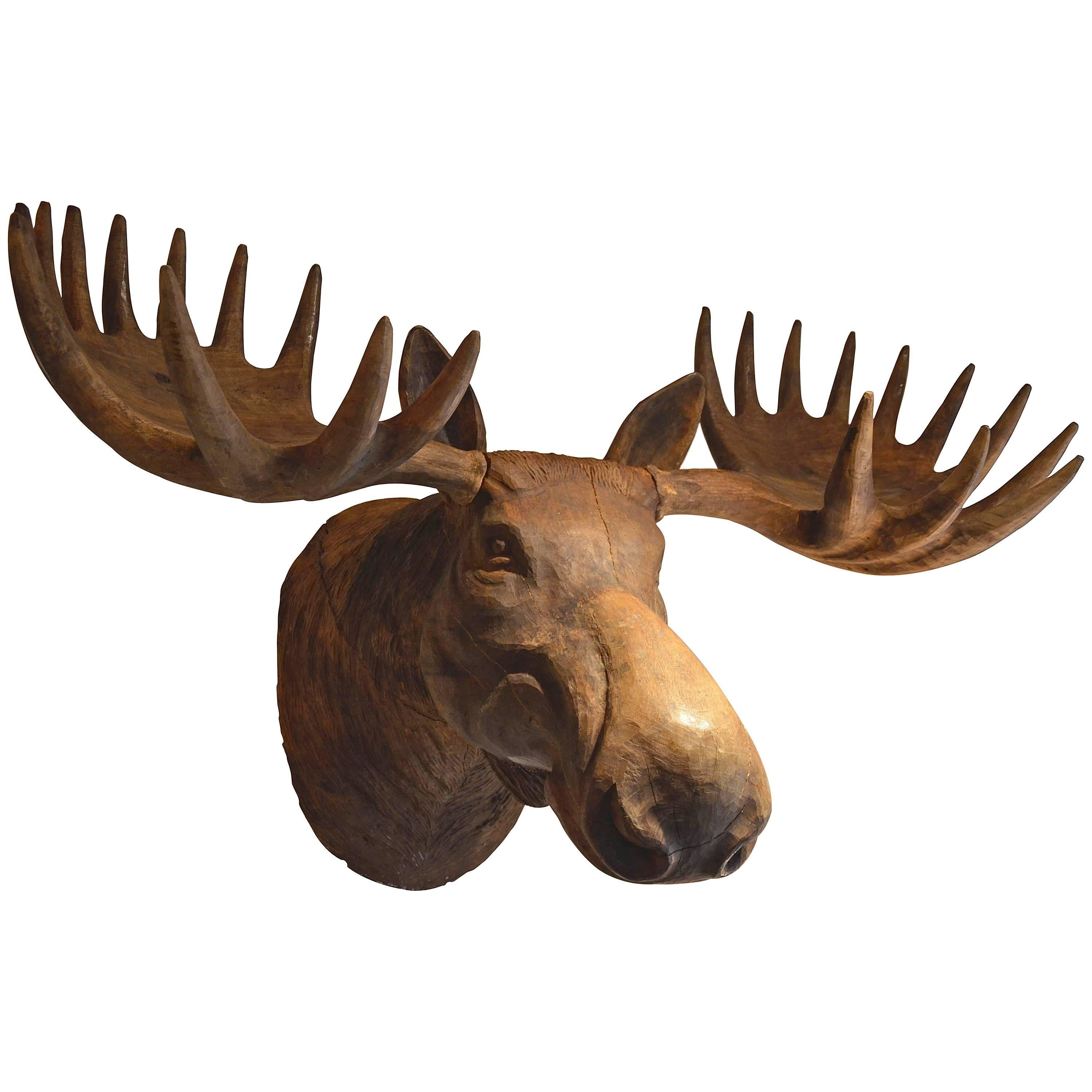 Huge Massive Wood Carved Caribou Head For Sale