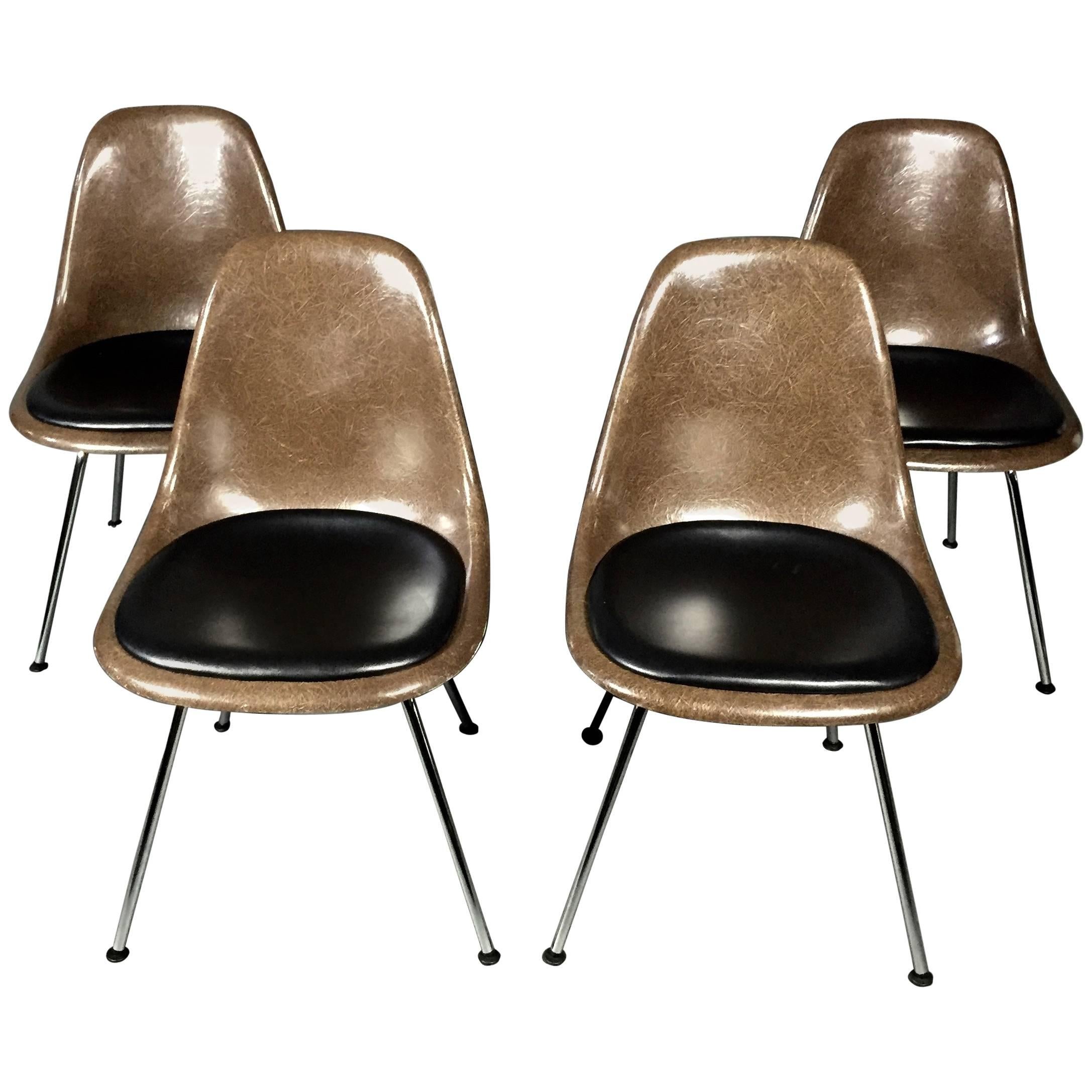 Charles and Ray Eames Fiberglass Shell Chairs, Vitra Base, Skai Seating
